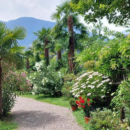 Nora S Home 5 - Panoramic Terrace & Bio Garden Merano Bagian luar foto